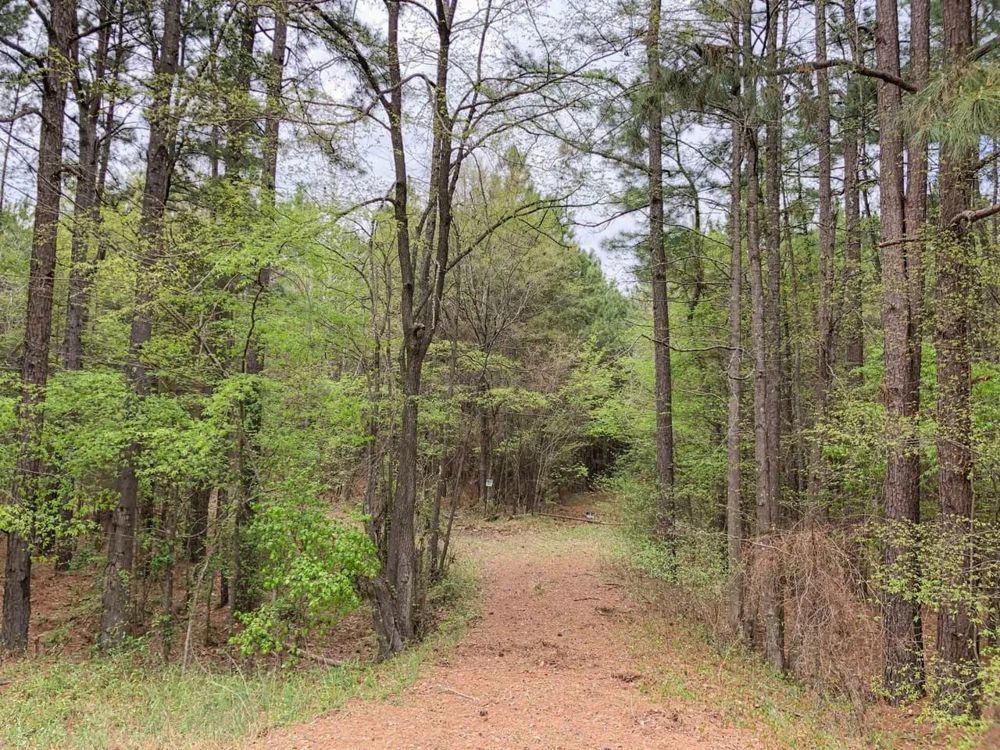 Landscape view for 463 Acres | Hwy 67 | Maya 1003