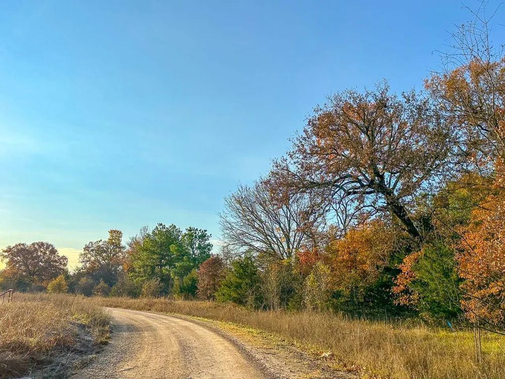 Landscape view for 699 Acres | CR 4640 | Maya 1002