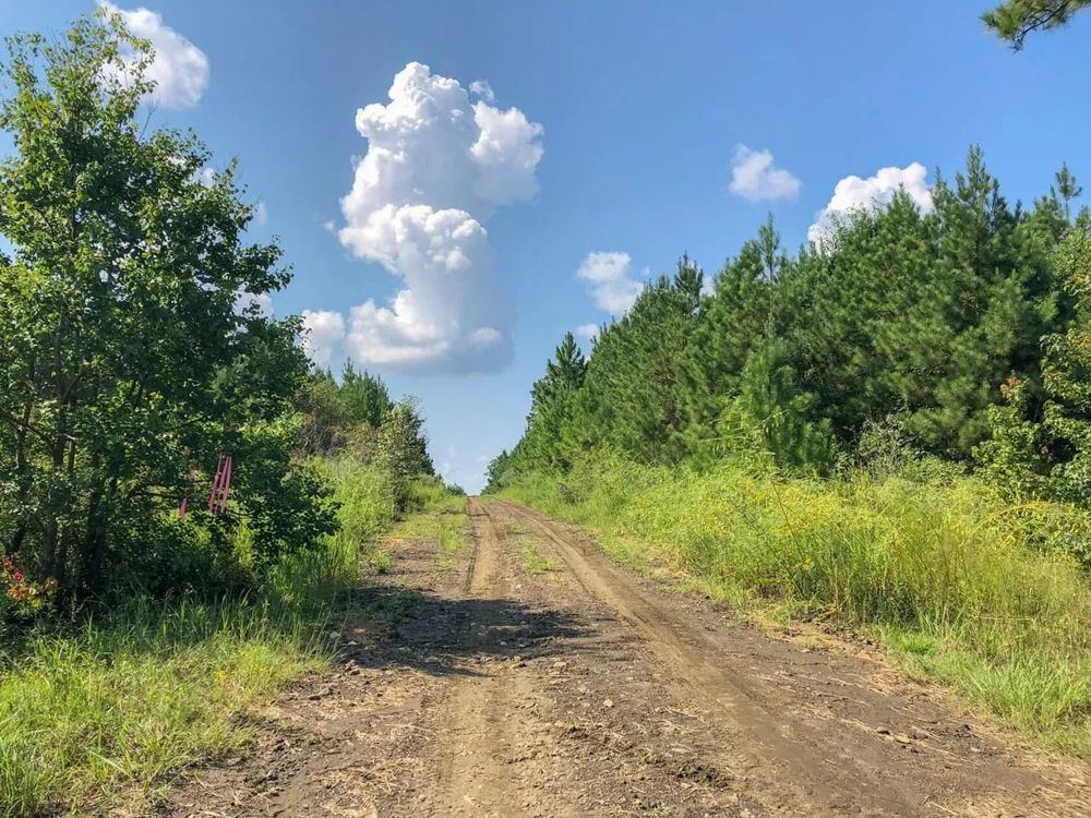 Landscape view for 667 Acres | Timber/Recreation