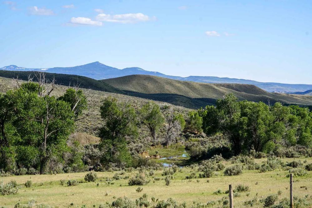 Landscape view for Banjo Ranch Basin