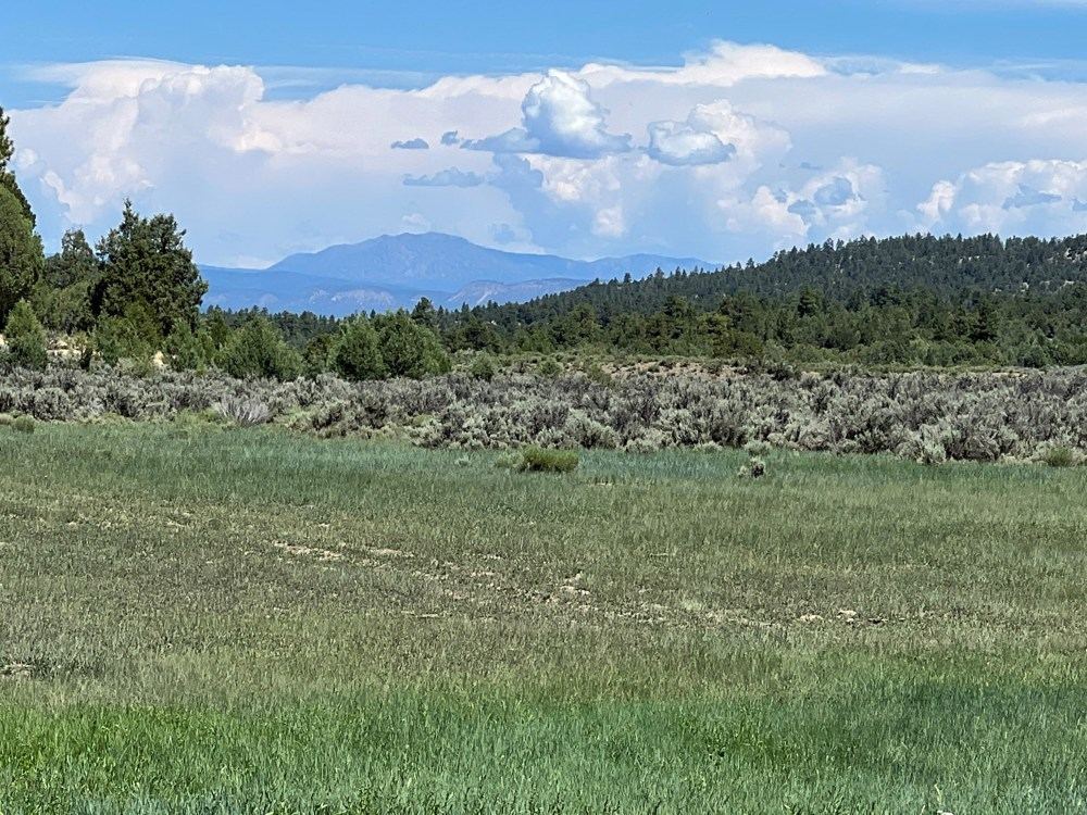 Landscape view for Incredible Elk Hunting Ranch in Chama Valley