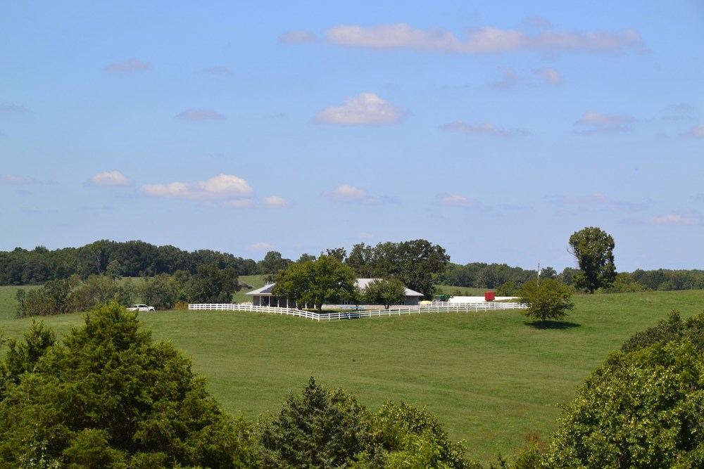 Landscape view for 500 Acre Ranch for Sale, Wright County MO, Farm, L