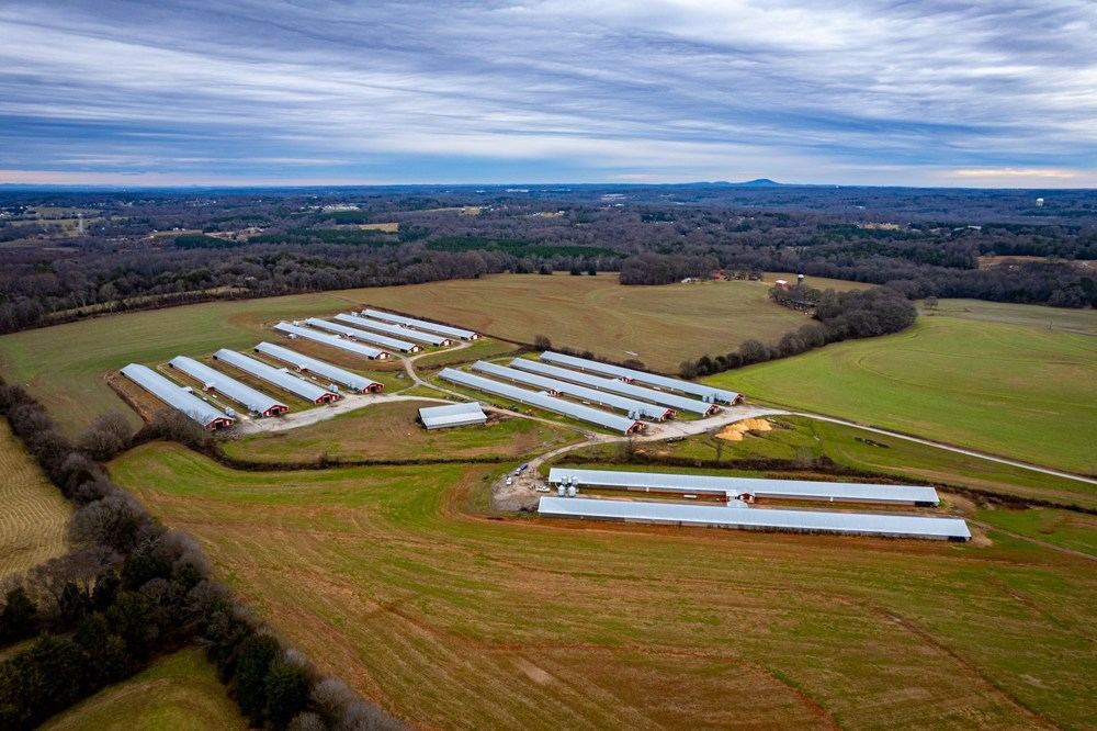 Landscape view for Poultry Farm with 14 Broiler Houses For Sale - Lin