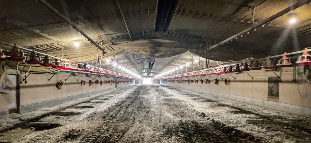 Poultry Farm with 14 Broiler Houses For Sale - Lin, view 2