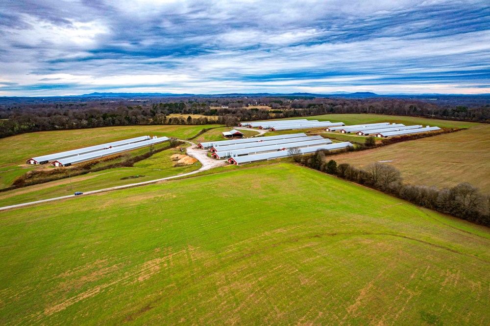 Poultry Farm with 14 Broiler Houses For Sale - Lin, view 3