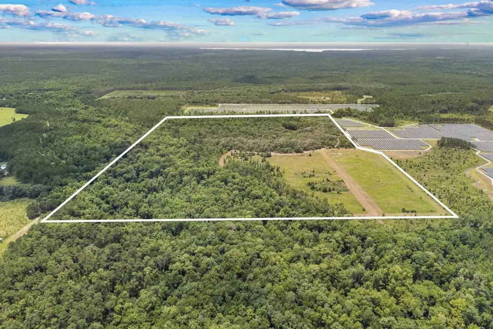 Landscape view for 94-Acres of Private Land in Palatka, FL for Sale -
