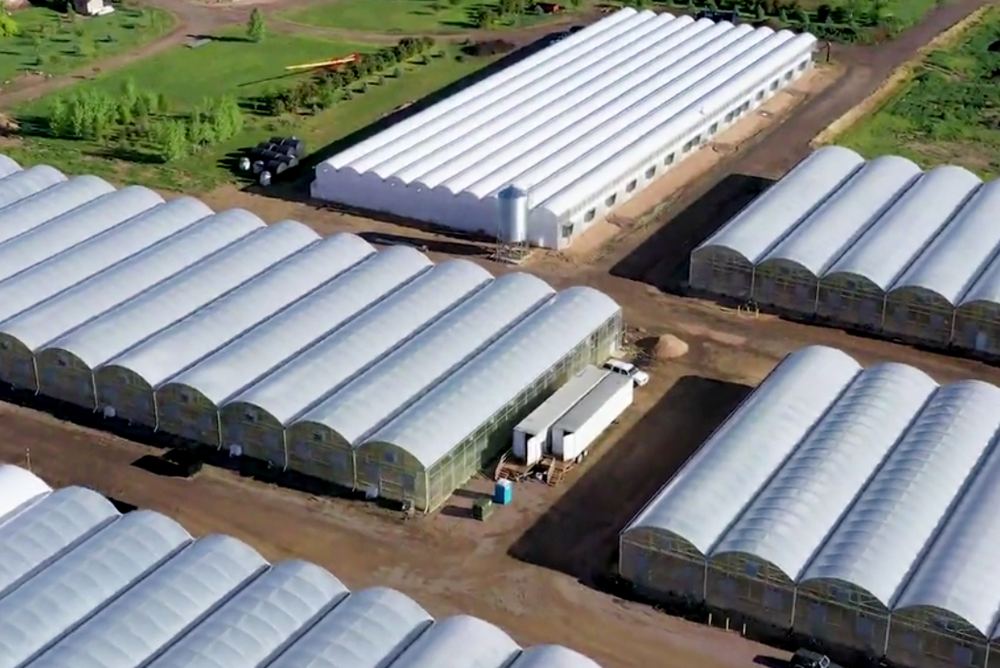 Landscape view for Brighton Organic Greenhouses