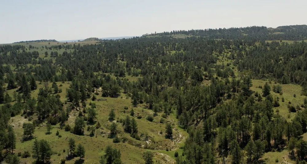 Landscape view for S Bar Ranch - 19,816-Acre Working Ranch in Custer,
