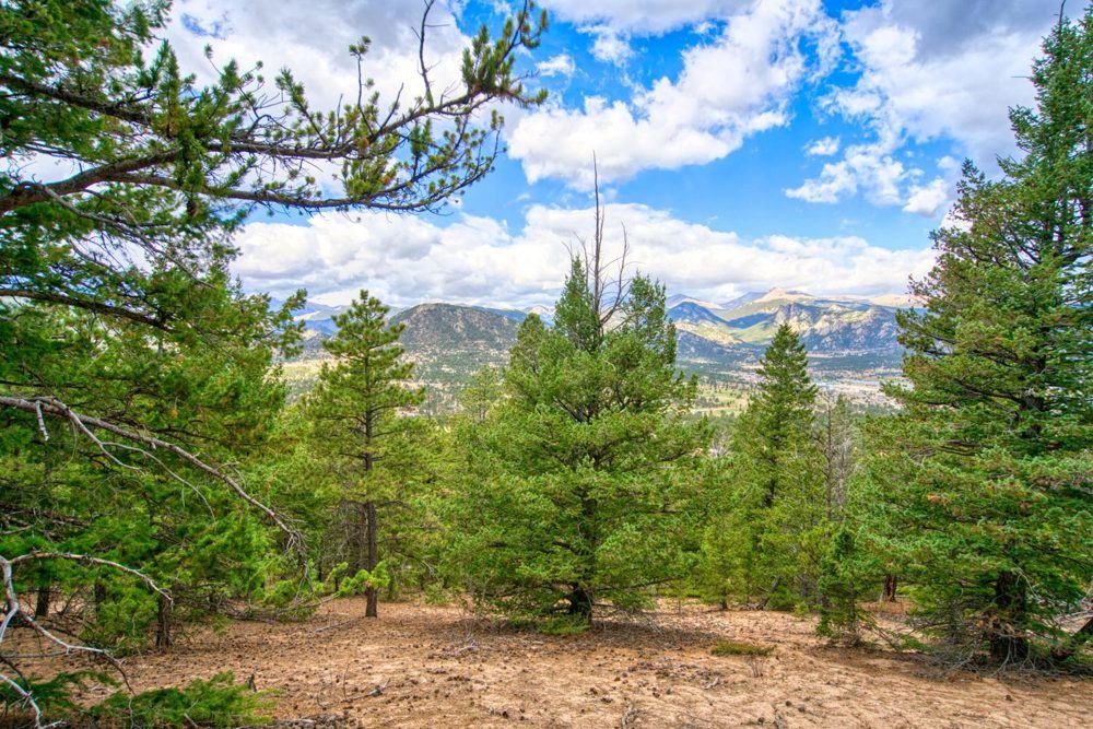 Landscape view for Windham Summit