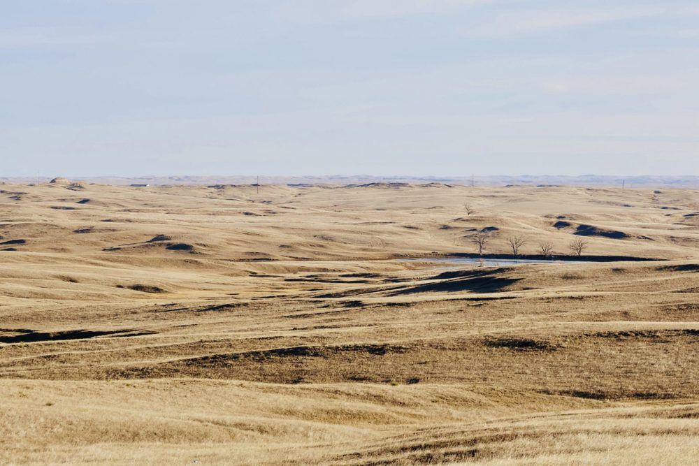 Landscape view for White River Ranch