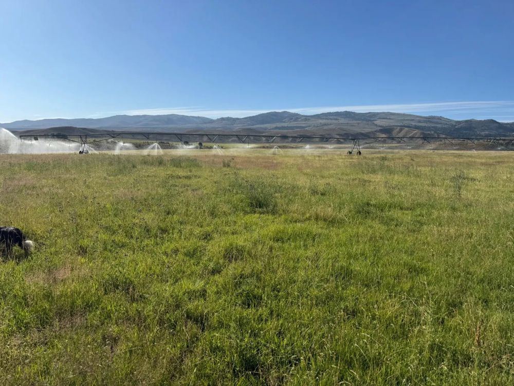 Landscape view for Northeast Oregon Ranch