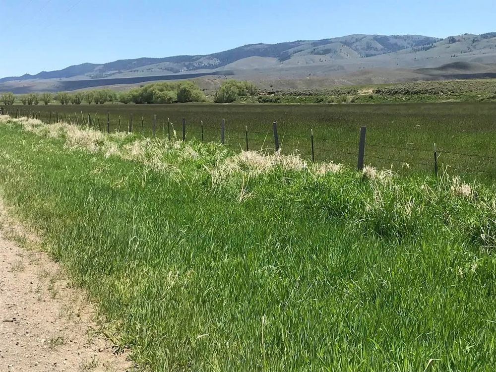 Northeast Oregon Ranch, view 3