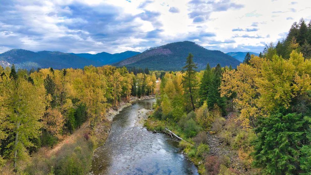 Landscape view for 135 Acres of Montana Land for Sale on the St. Regi