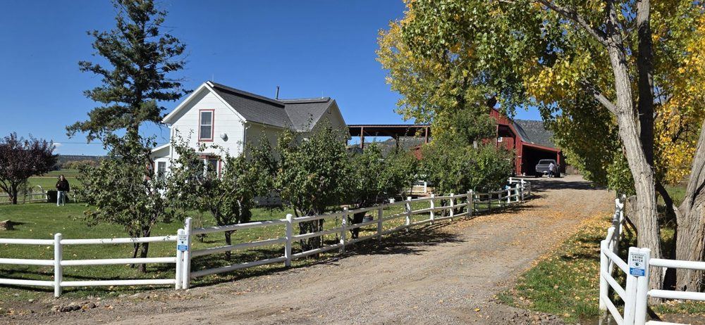Landscape view for Arboles Bucks and Bulls