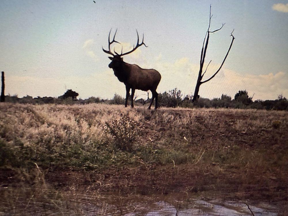 Landscape view for Majestic Elk Ranch