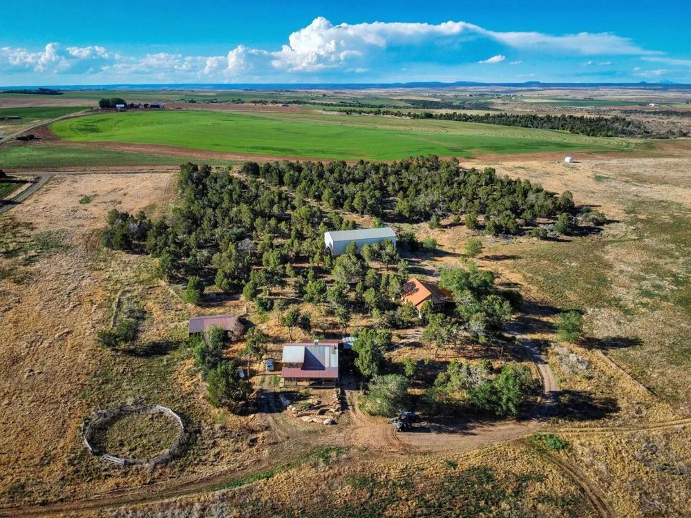 Landscape view for Cortez CO Irrigated Farm for Sale