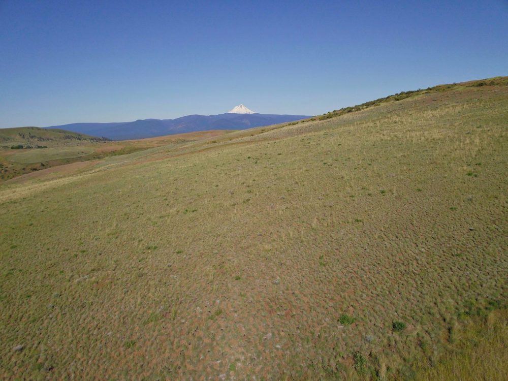 Tygh Valley 720, view 2