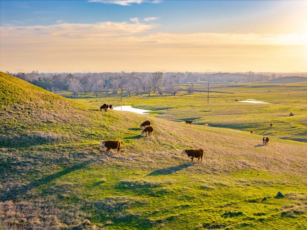 Landscape view for Butte Valley Springs
