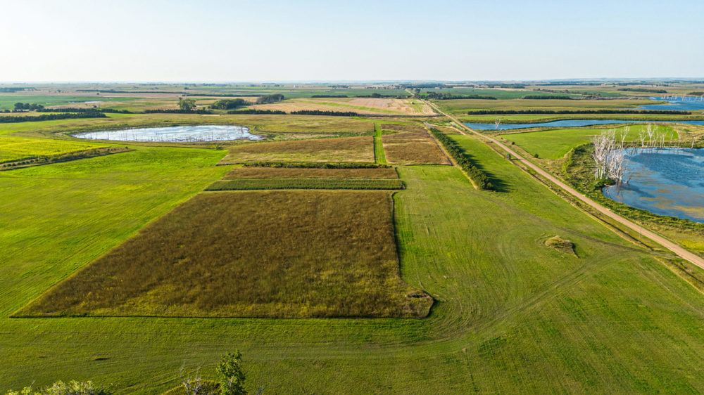 South Dakota Pheasant Acres East Unit, view 3