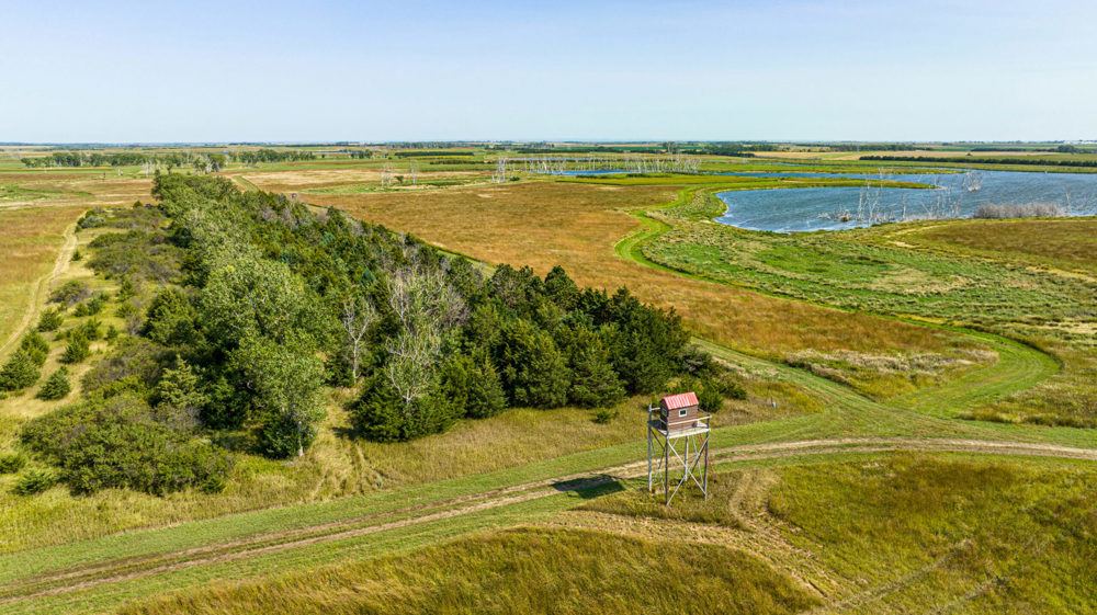 Landscape view for South Dakota Pheasant Acres West Unit