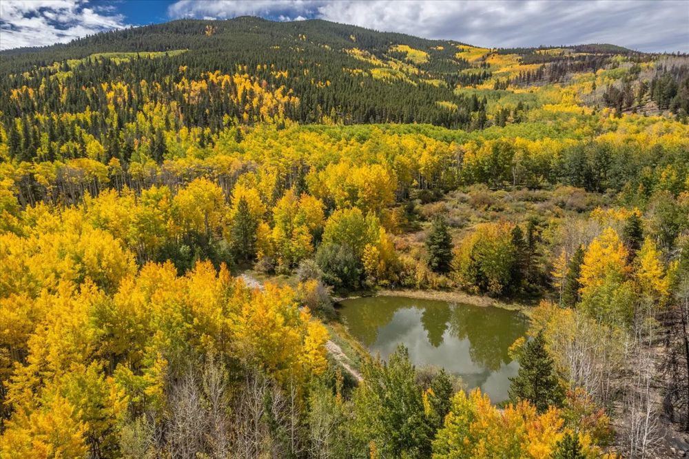 Landscape view for 329-Acre Hunting Ranch in Twin Lakes, Colorado for