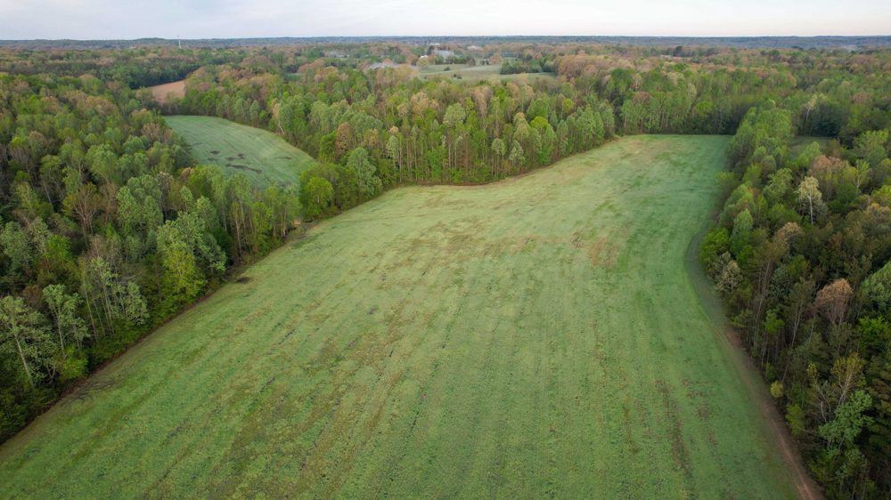 Scotts Hill Farm with Tillable, view 2