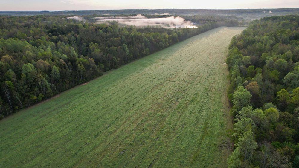 Scotts Hill Farm with Tillable, view 3