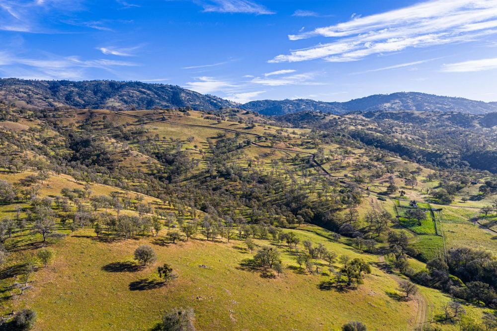 Landscape view for Black Oaks Ranch