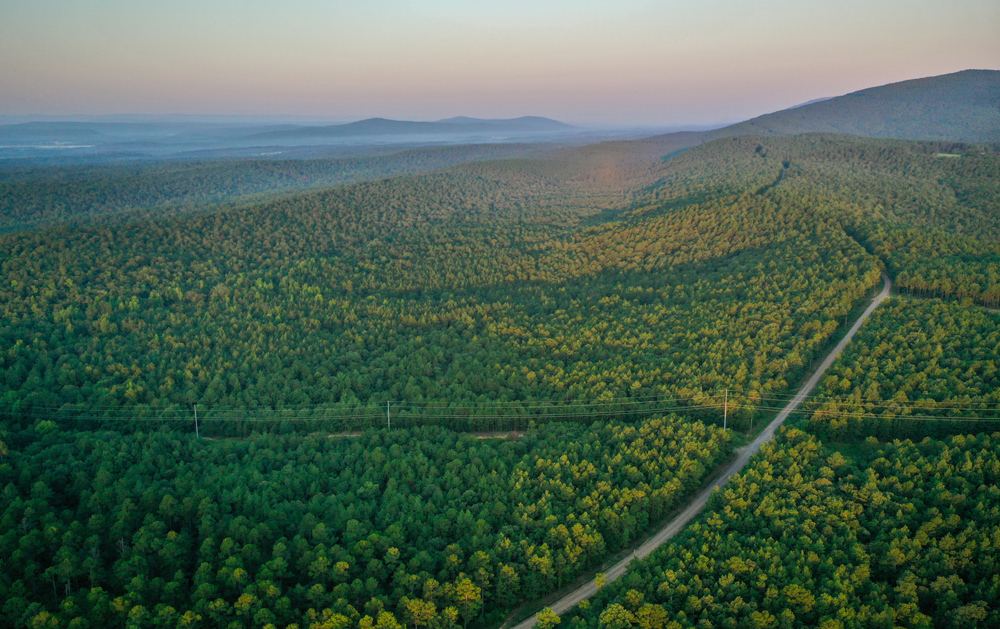 Landscape view for Mena Timber West