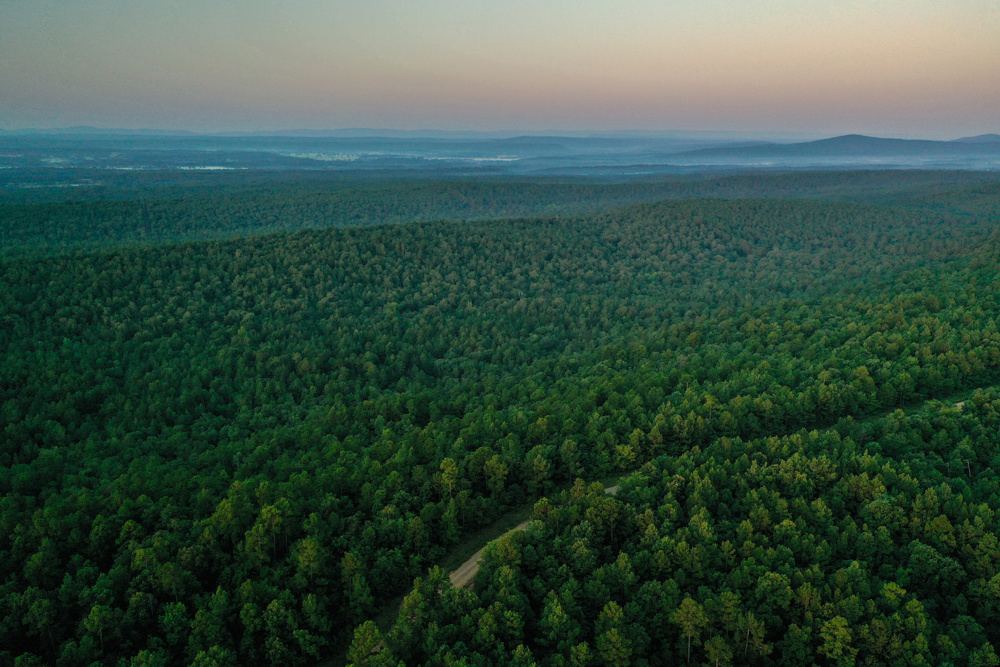 Mena Timber West, view 3