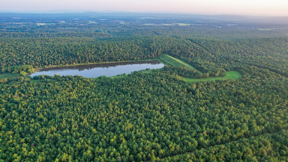 Landscape view for Mena Timber East