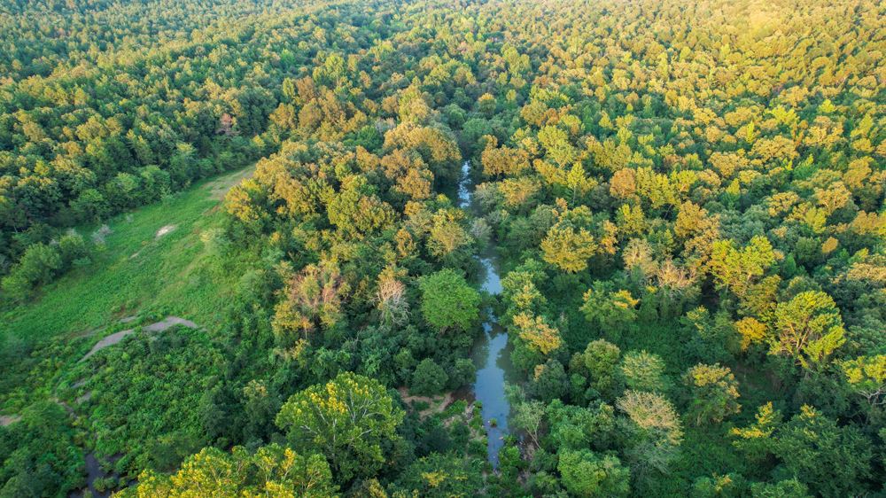 Mena Timber East, view 2