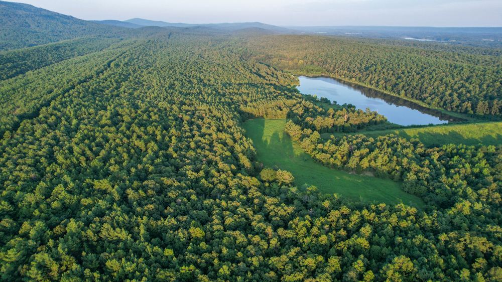 Landscape view for Ouachita Woods and Water