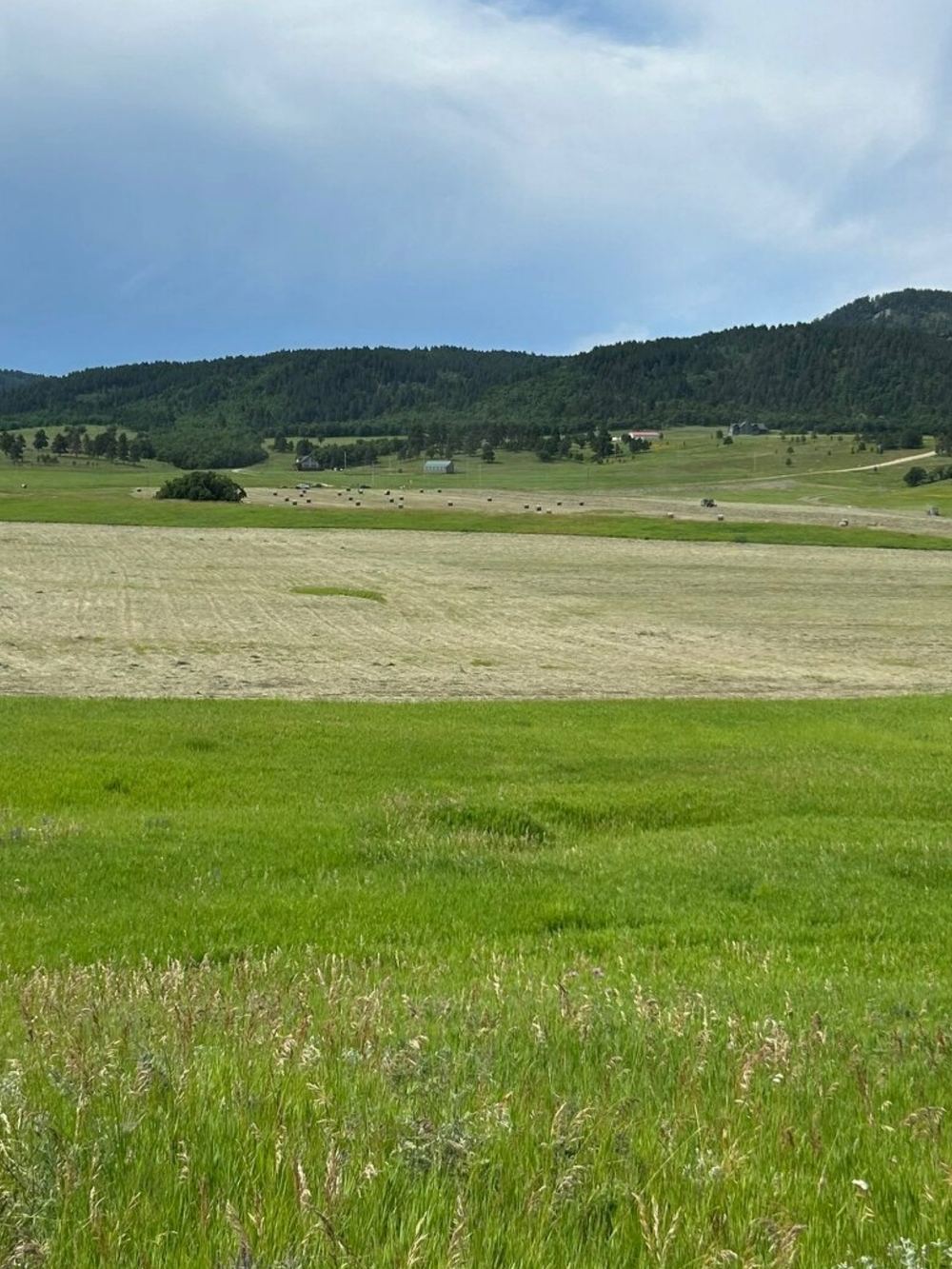 Landscape view for BUFFALO RANCH ESTATES 120 ACRES, Spearfish, South