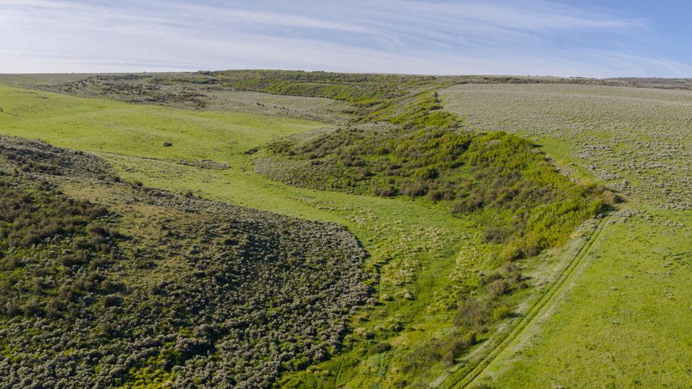 Landscape view for Lorenz Ranch