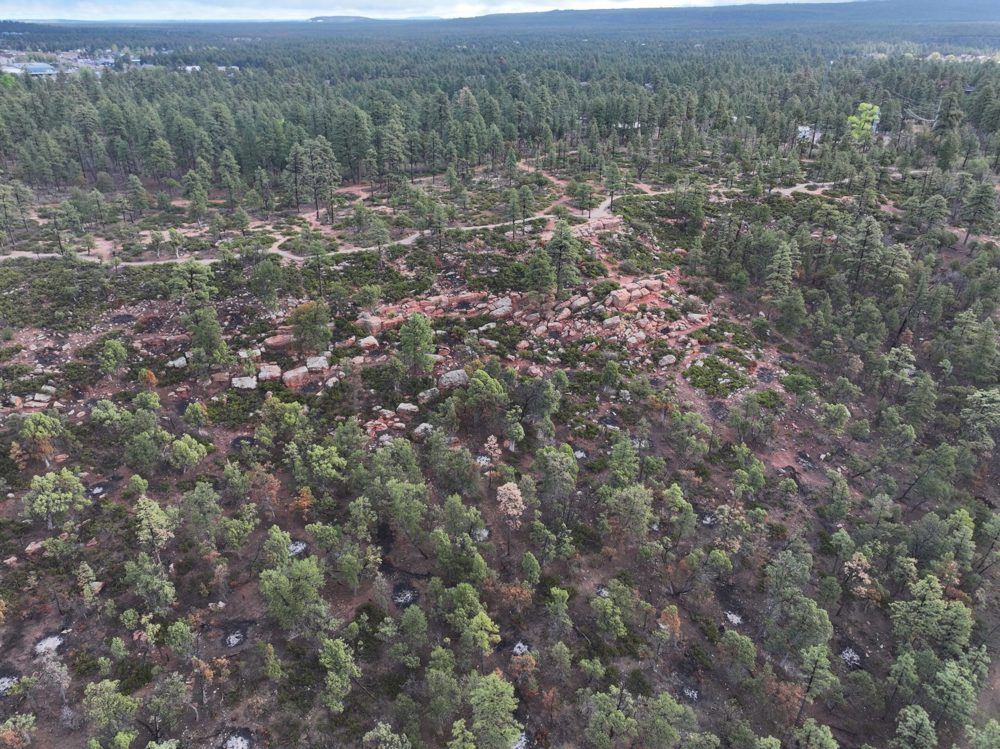 Landscape view for Pinetop Development Ground