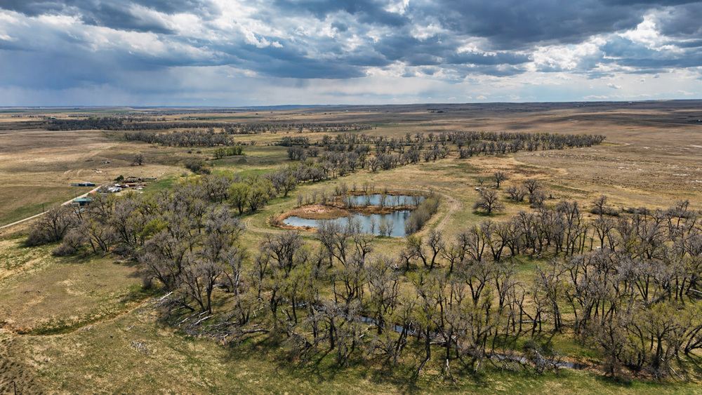 Landscape view for Cottonwood Creek Farm