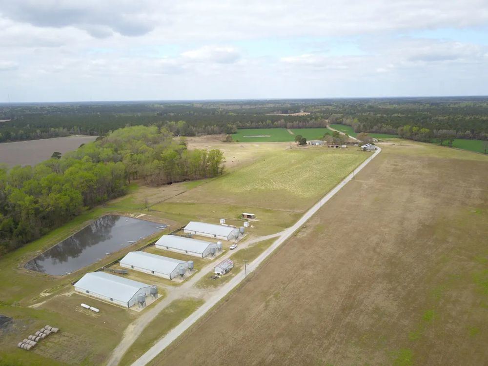 Landscape view for Thriving Hog Farm in Fayetteville, NC - Establishe