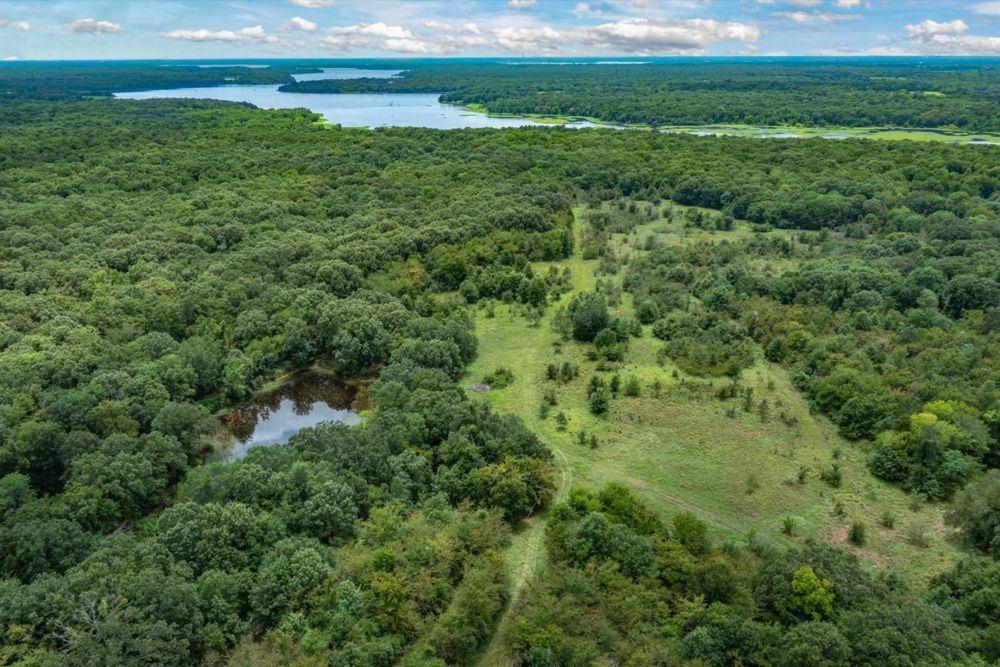 Landscape view for Rare Lakefront Recreational Land in Yantis, Texas