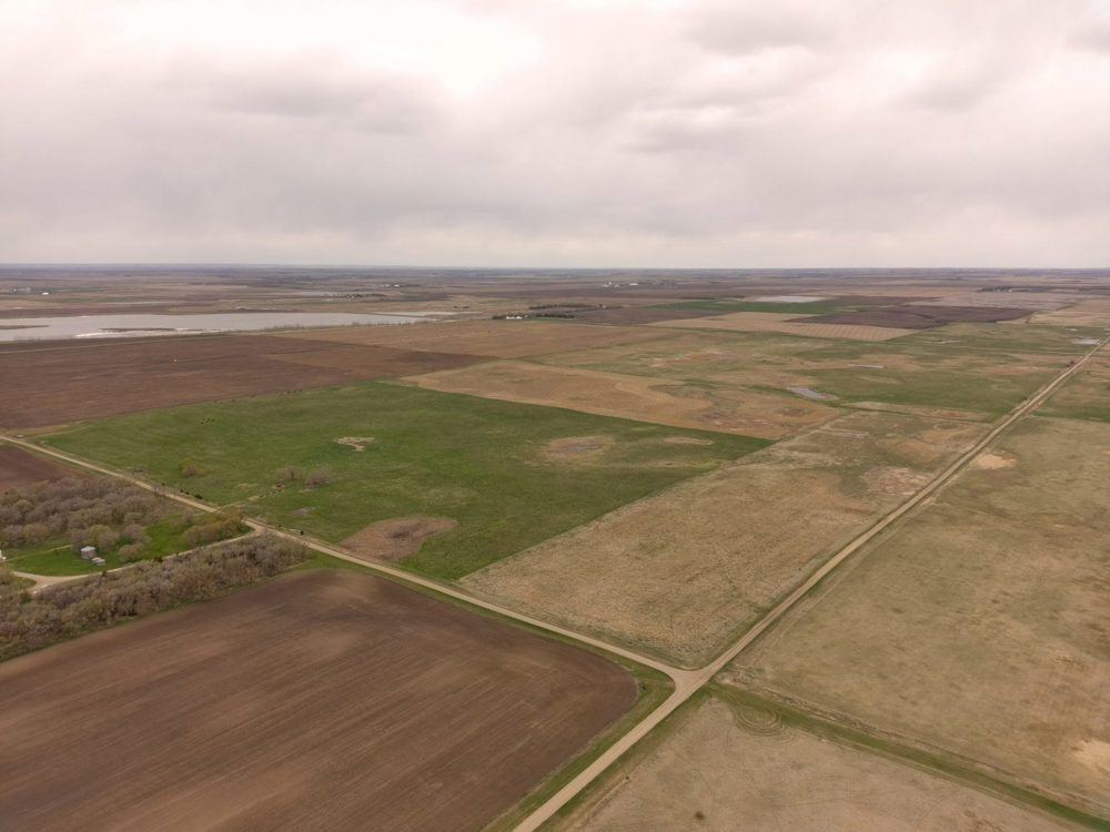 Landscape view for 398± Acres | Income-Producing CRP/CREP & Recreatio