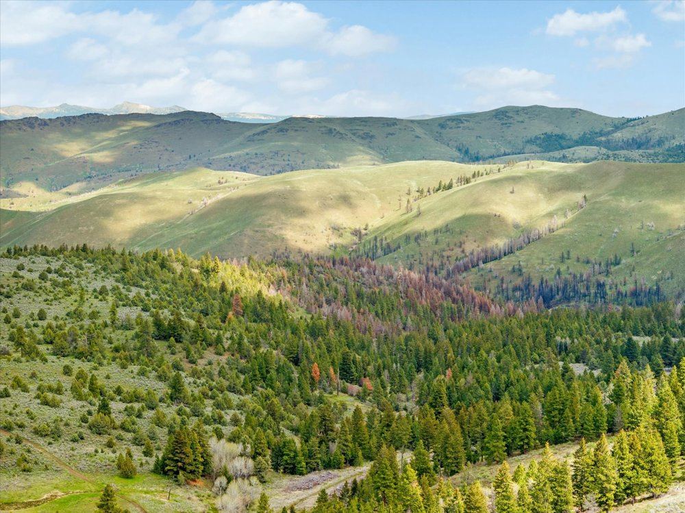 Landscape view for Baker/Malheur 1676