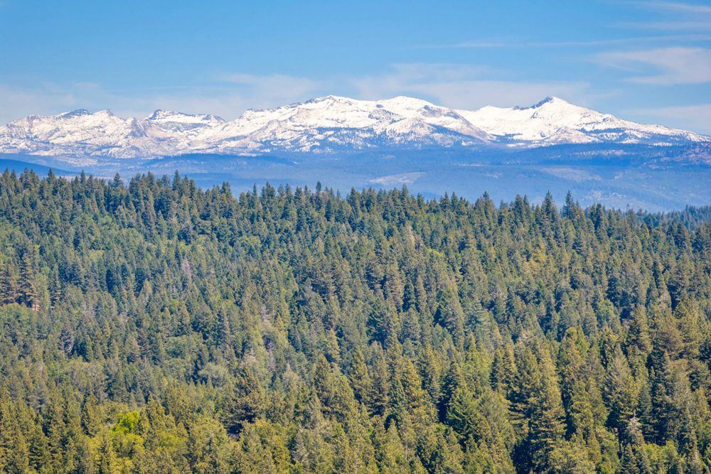 Landscape view for Sly Park Retreat