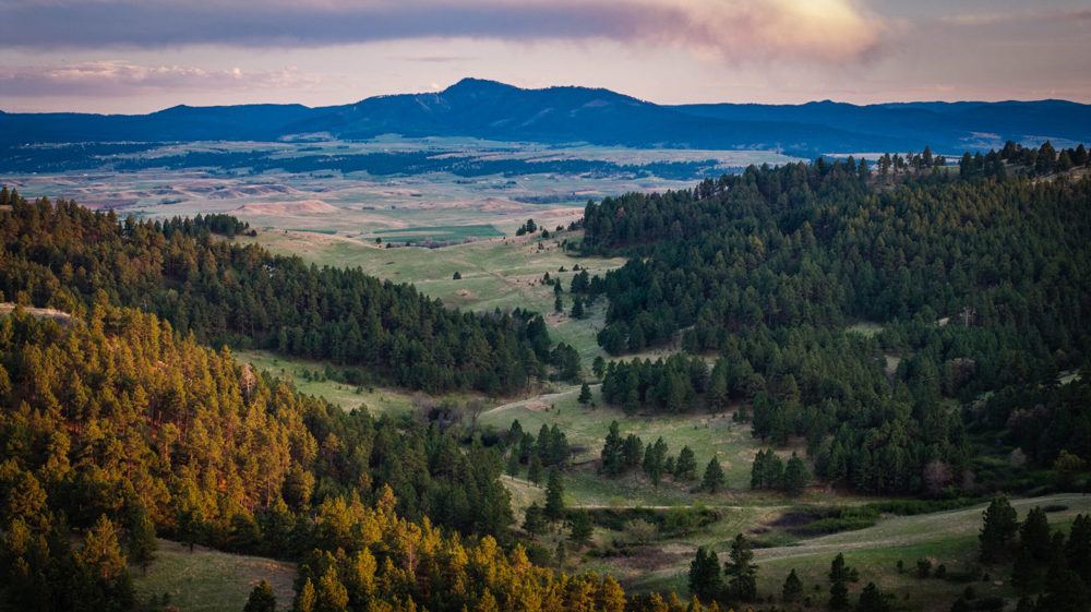 Landscape view for Redwater Ranch | 905.6± Acres | Live Water | Crop