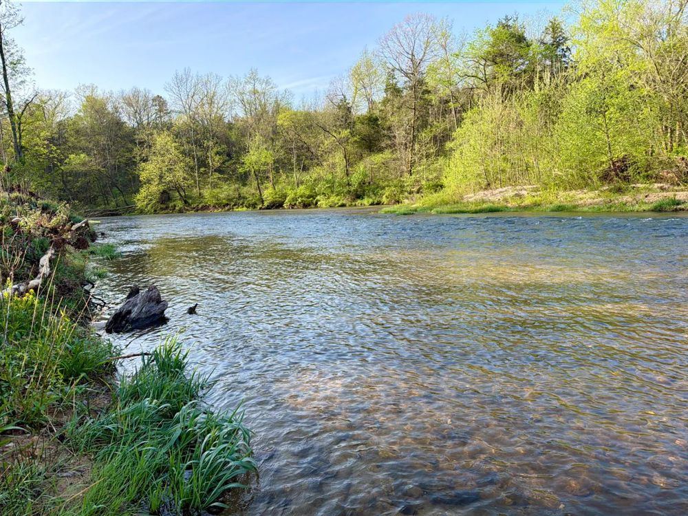 Landscape view for 360-Acres of Land for Sale on the Current River in