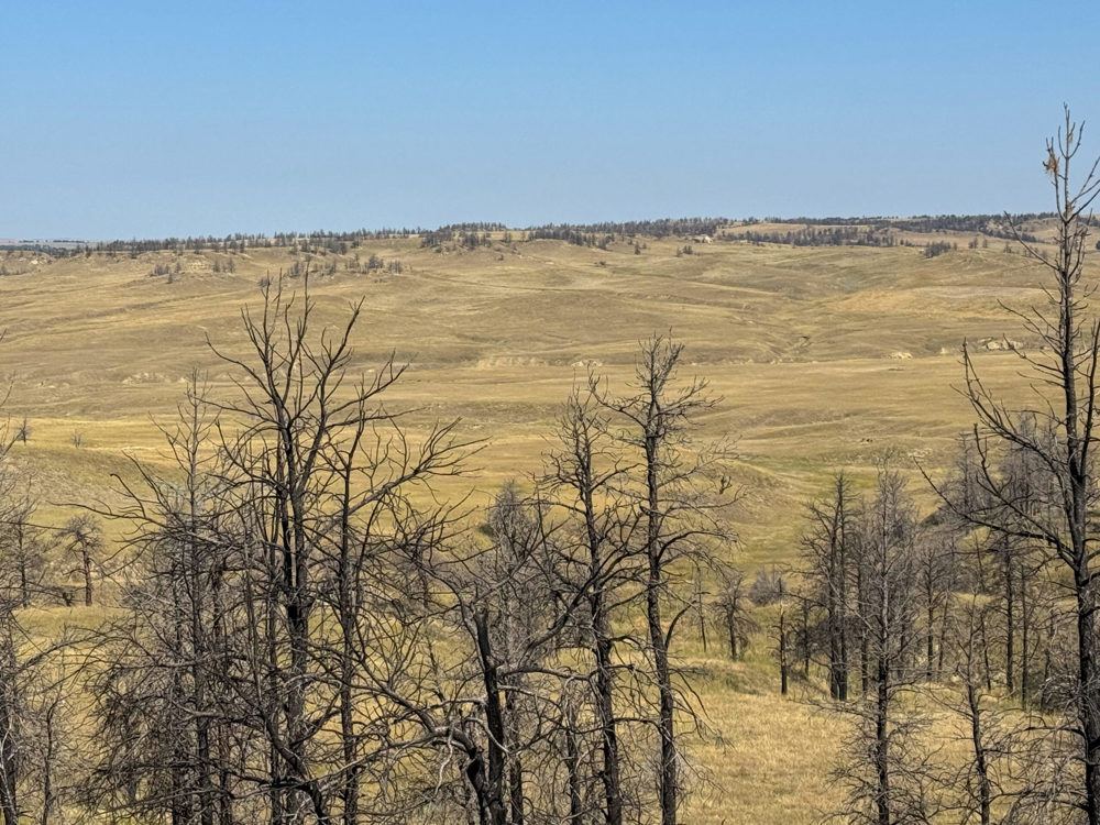 Landscape view for Haveman Ranch LLC