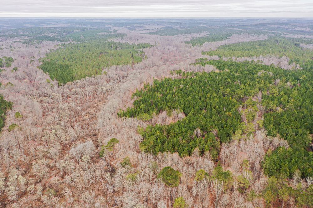 Landscape view for Hightower Buck and Timber