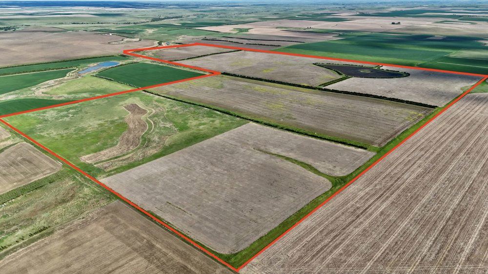 Landscape view for Elsassers Ringneck Reserve