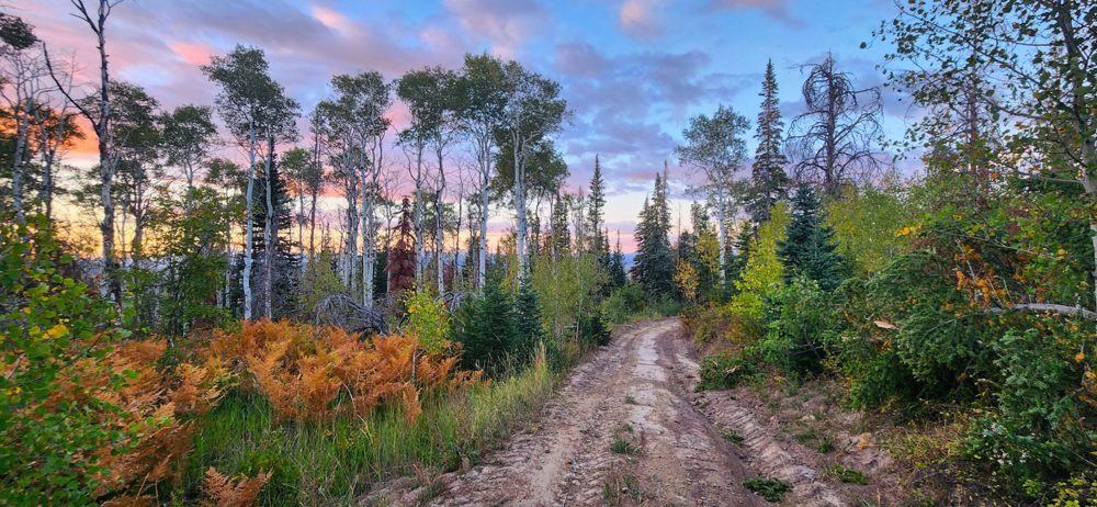 Landscape view for Oak Creek Cabin