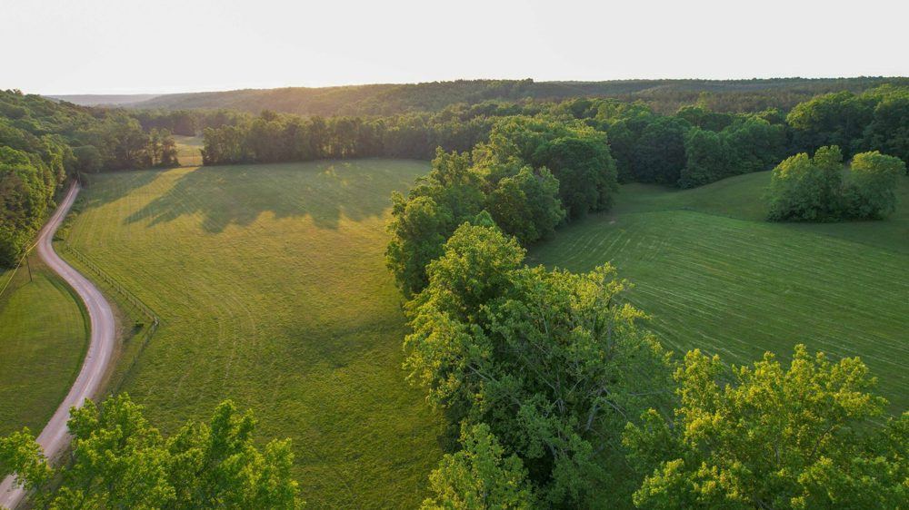 Landscape view for Wades Branch Farm
