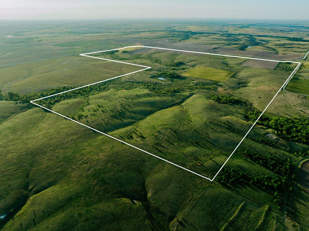 Landscape view for Darwin’s Pure Joy Pasture Cropland 469+-